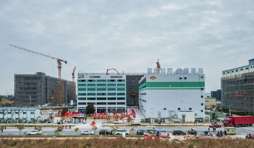 茶里集團南沙總部落成，推動高端袋泡茶標準化、工業化與科技化進程